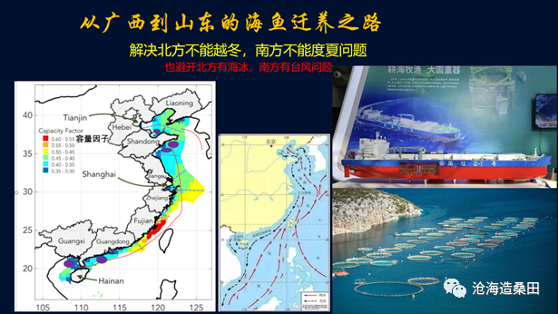 從廣西到山東的海魚(yú)遷養(yǎng)之路（2024元旦賀歲篇）